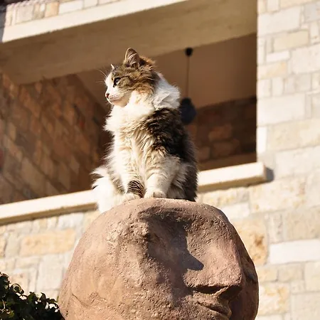 Szálloda Leventis Art Panajíca