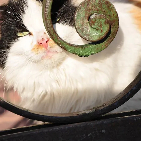 فندق Leventis Art 3*