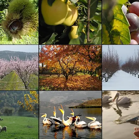 Leventis Art Panajíca