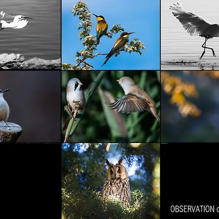 Leventis Art Szálloda 3*